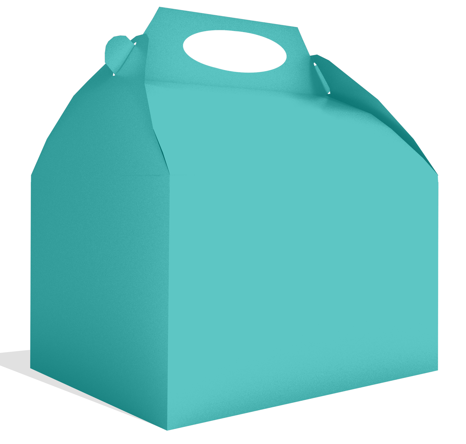 Scatola di menta 20 x 16 x 11 cm