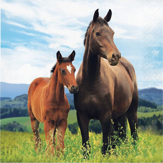 Caballos / Ponis