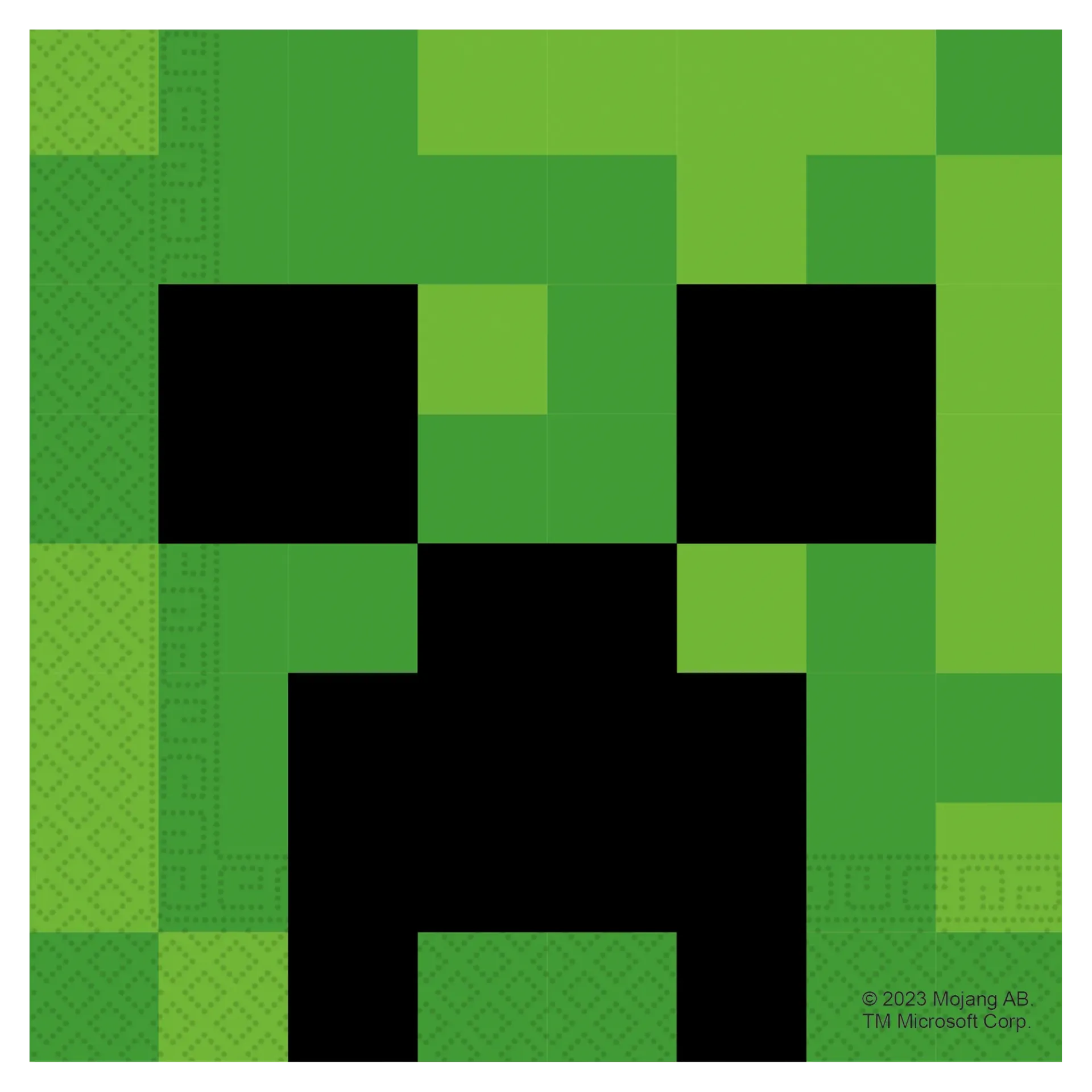 20 SERVILLETAS 33 CM MINECRAFT