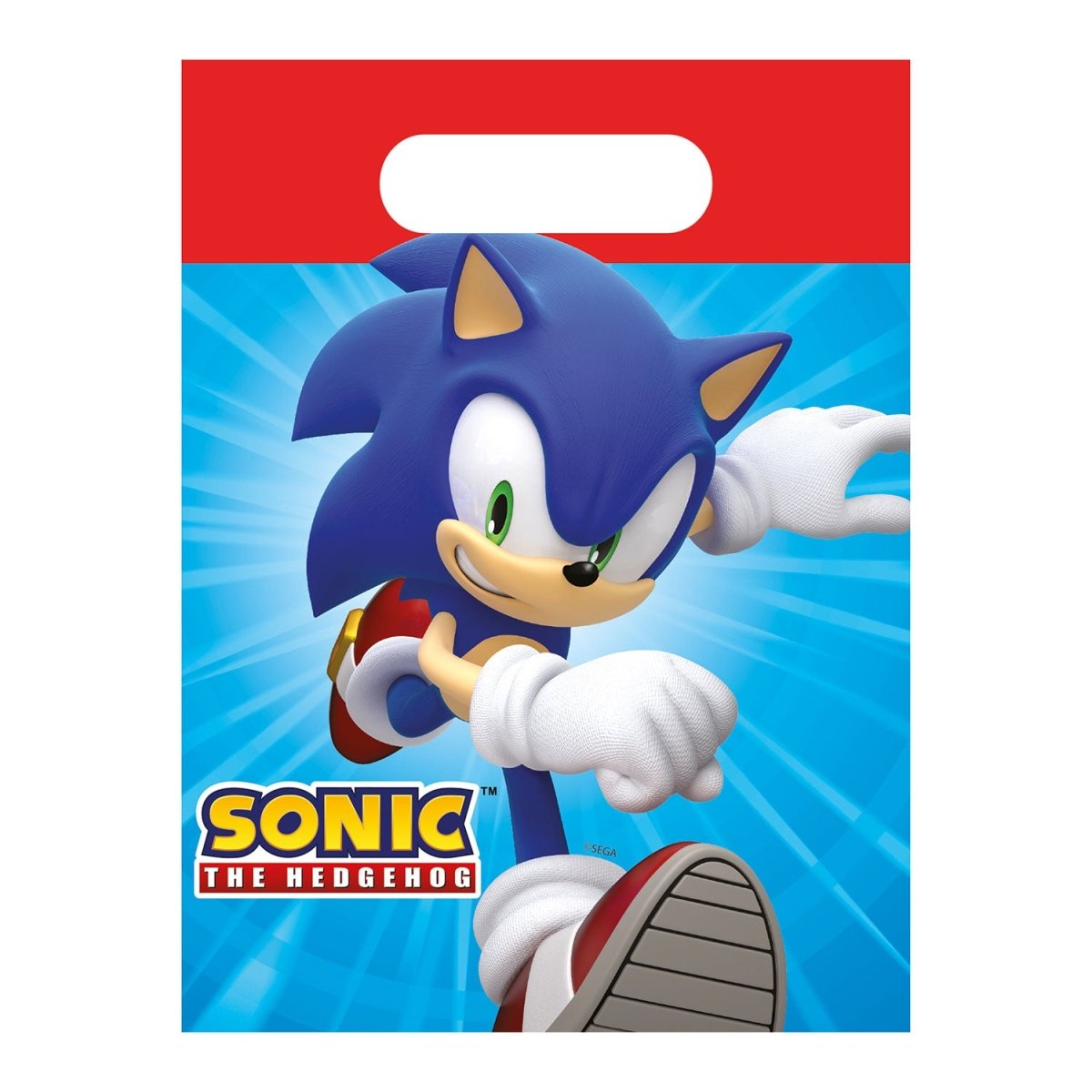 6 Bolsas Sonic Rectangulares