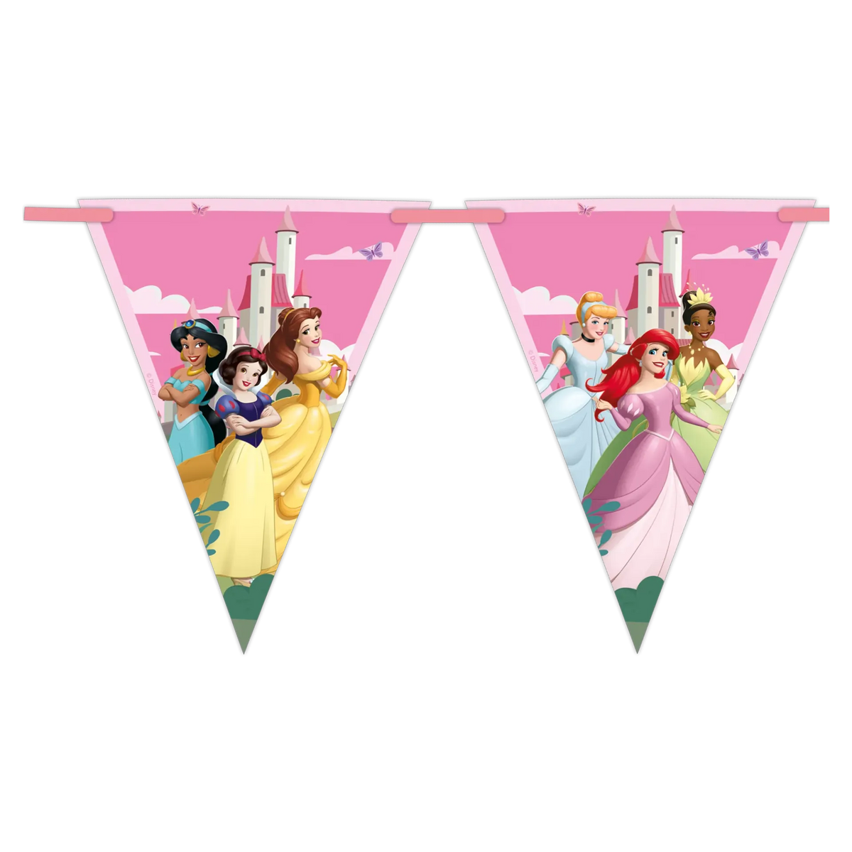 Bandeirola PRINCESAS DISNEY WORLD