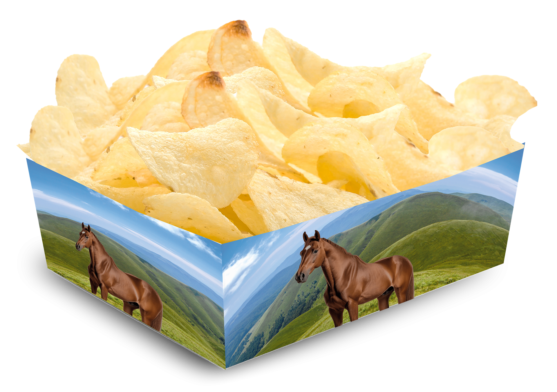 Bandeja Horse And Pony 15 x 11 x 6 cm