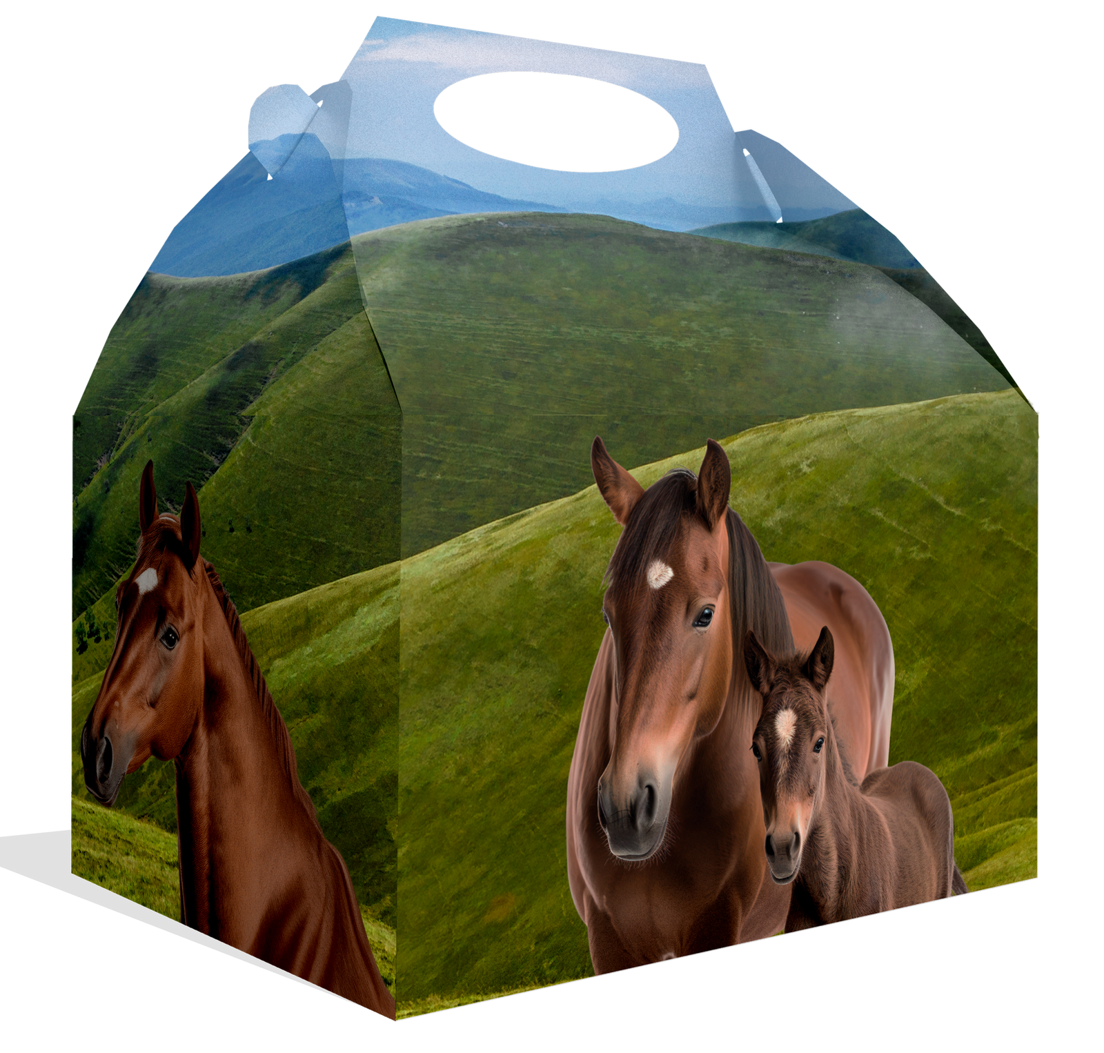 Boîte Cheval et Poney 20 x 16 x 11 cm