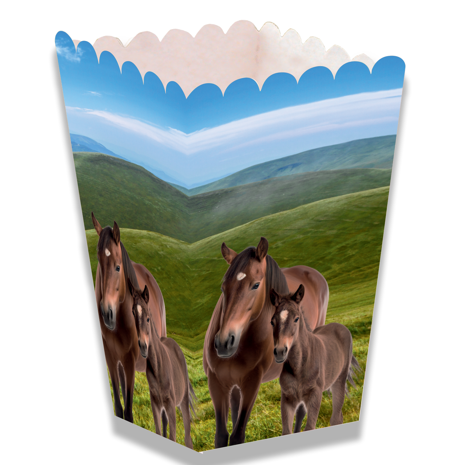 Boîte pour chevaux et poneys, 5 x 5 x 12 cm