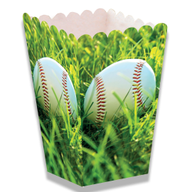 Boîte de baseball haute 5 x 5 x 12 cm