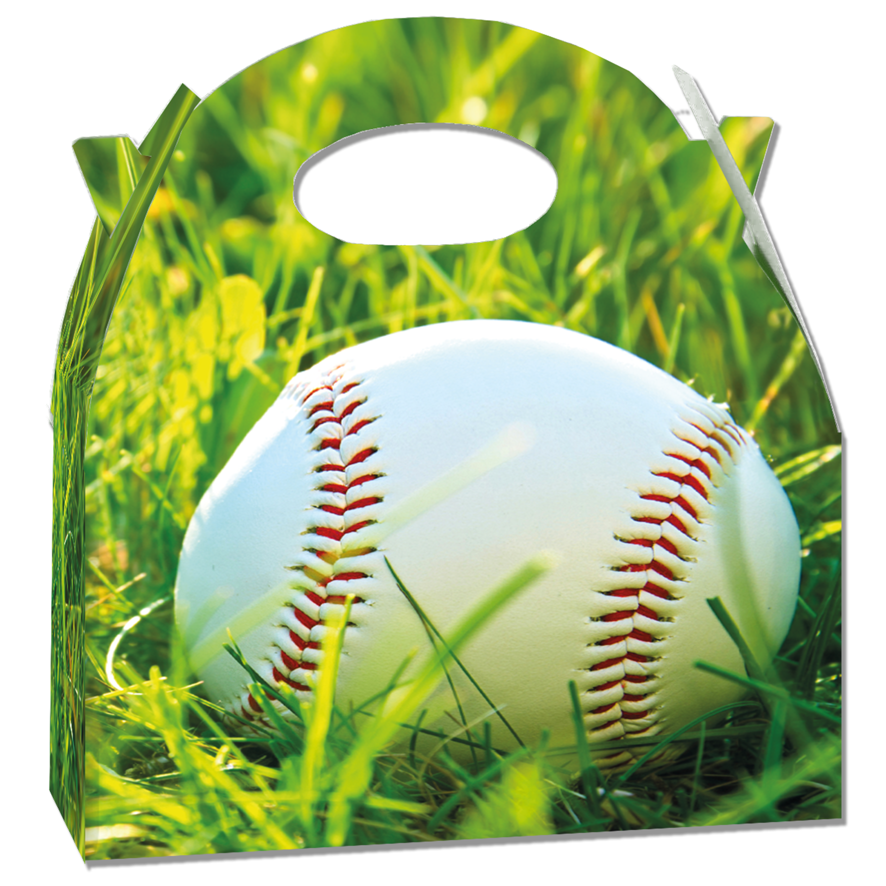 Scatola da baseball 20 x 16 x 11 cm