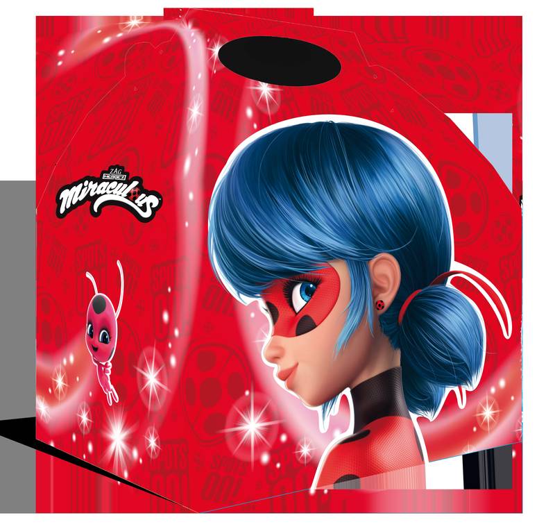 Caixa Ladybug 20 x 16 x 11 cm