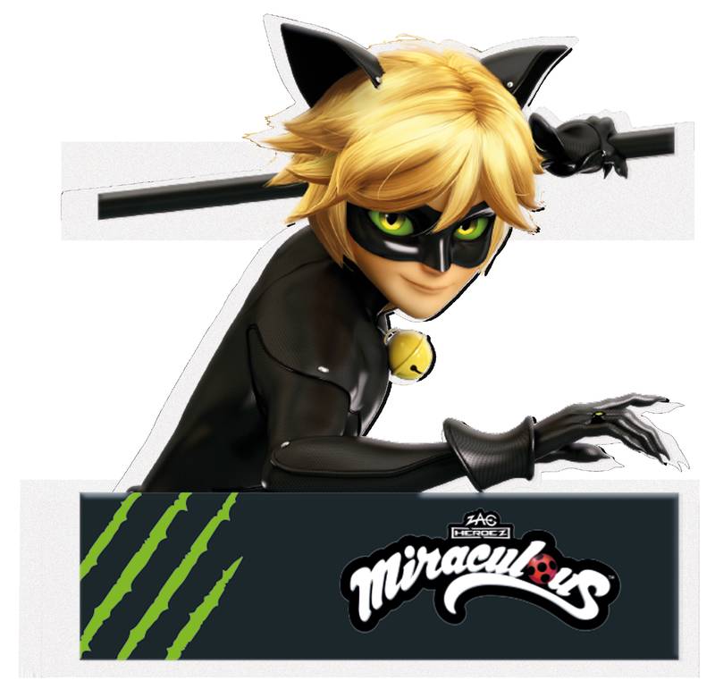 Figura Porexpan di Cat Noir