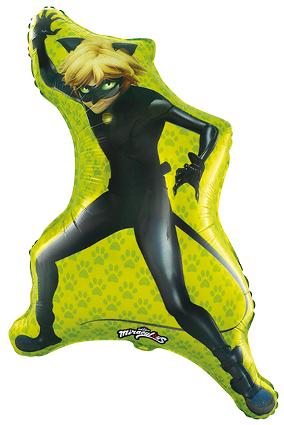 Globo forma CAT NOIR 89 x 56 cm