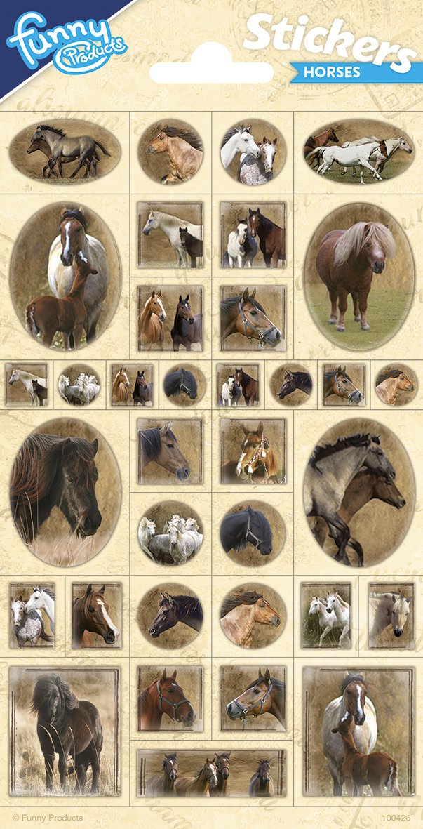 Pegatinas 102 x 200 mm Horse Party 2